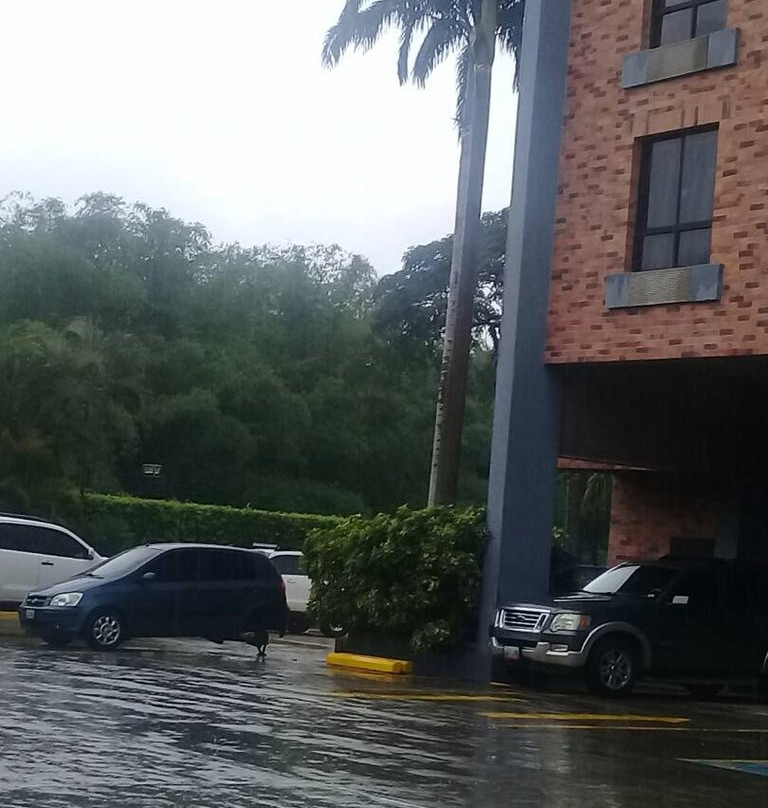 GH Guaparo Suites主图