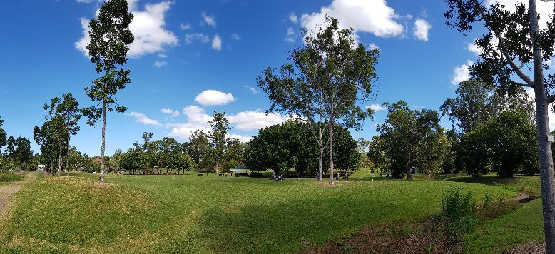 Sherwood Arboretum-布里斯班必去景点