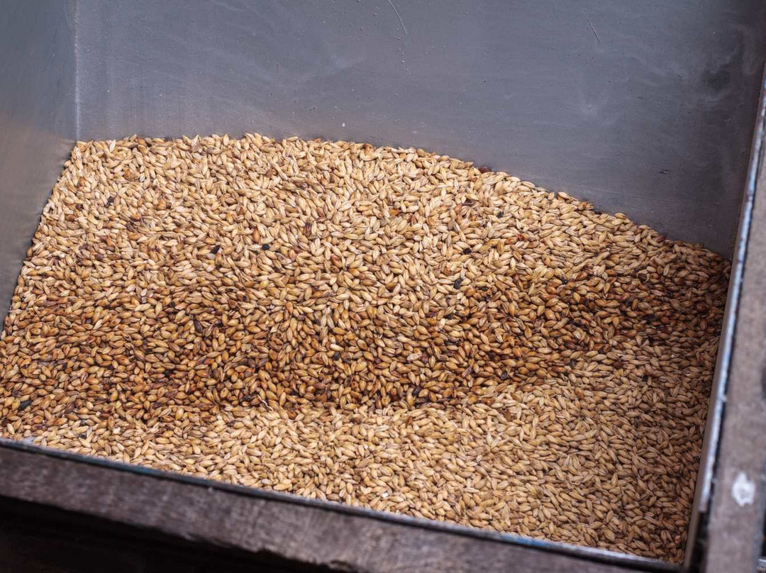 Dockside Brewery-伊丽莎白港必去景点