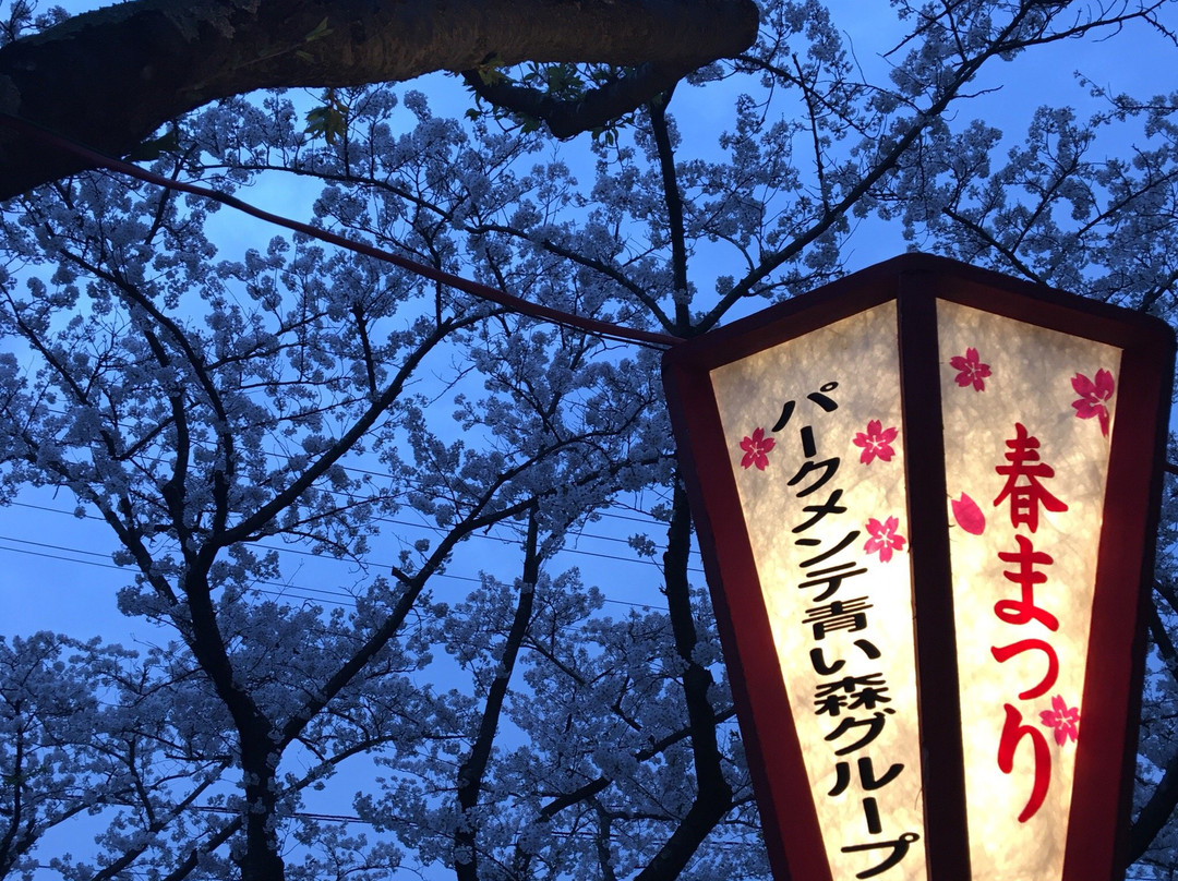 Gappo Park-青森市必去景点