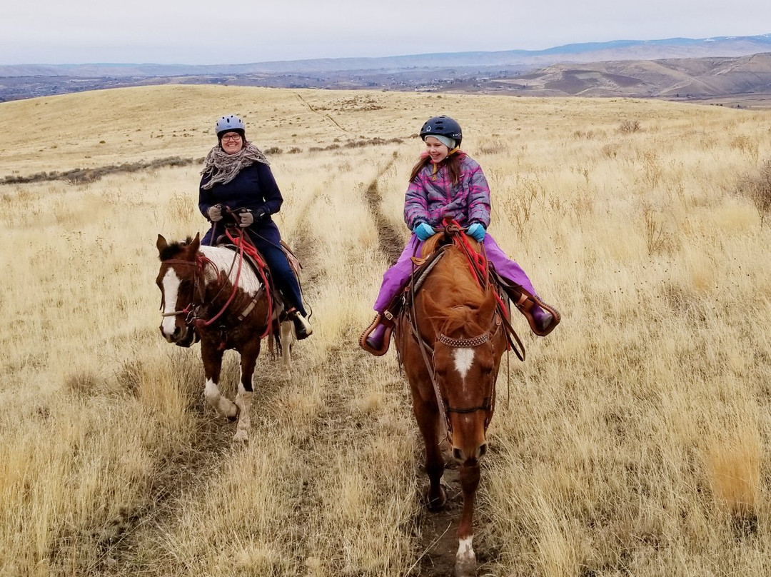Kinship Trail Rides-埃伦斯堡必去景点