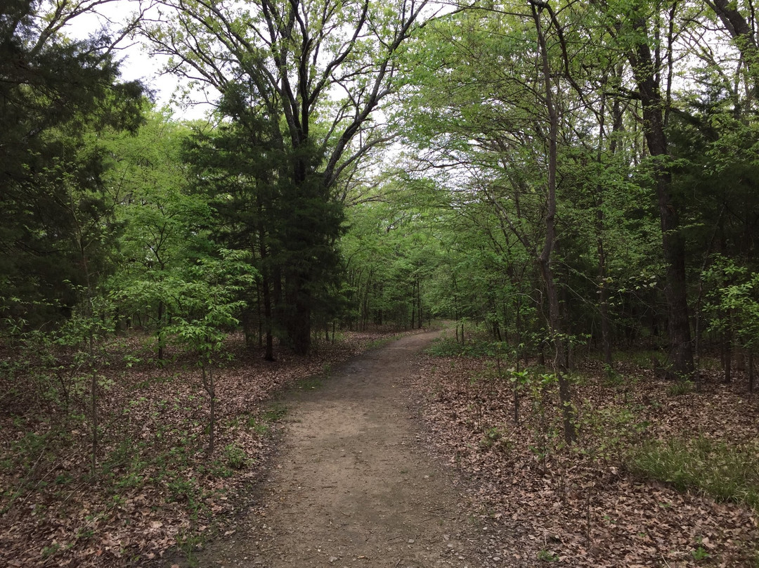 Lake Tawakoni State Park-Wills Point必去景点