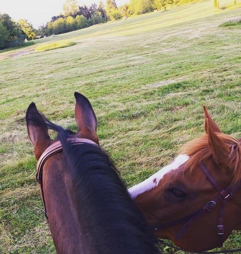 Langley 204 Horseback Riding-兰里市必去景点