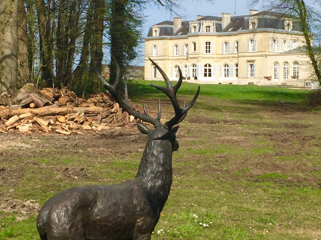 Le Château des Moyeux主图