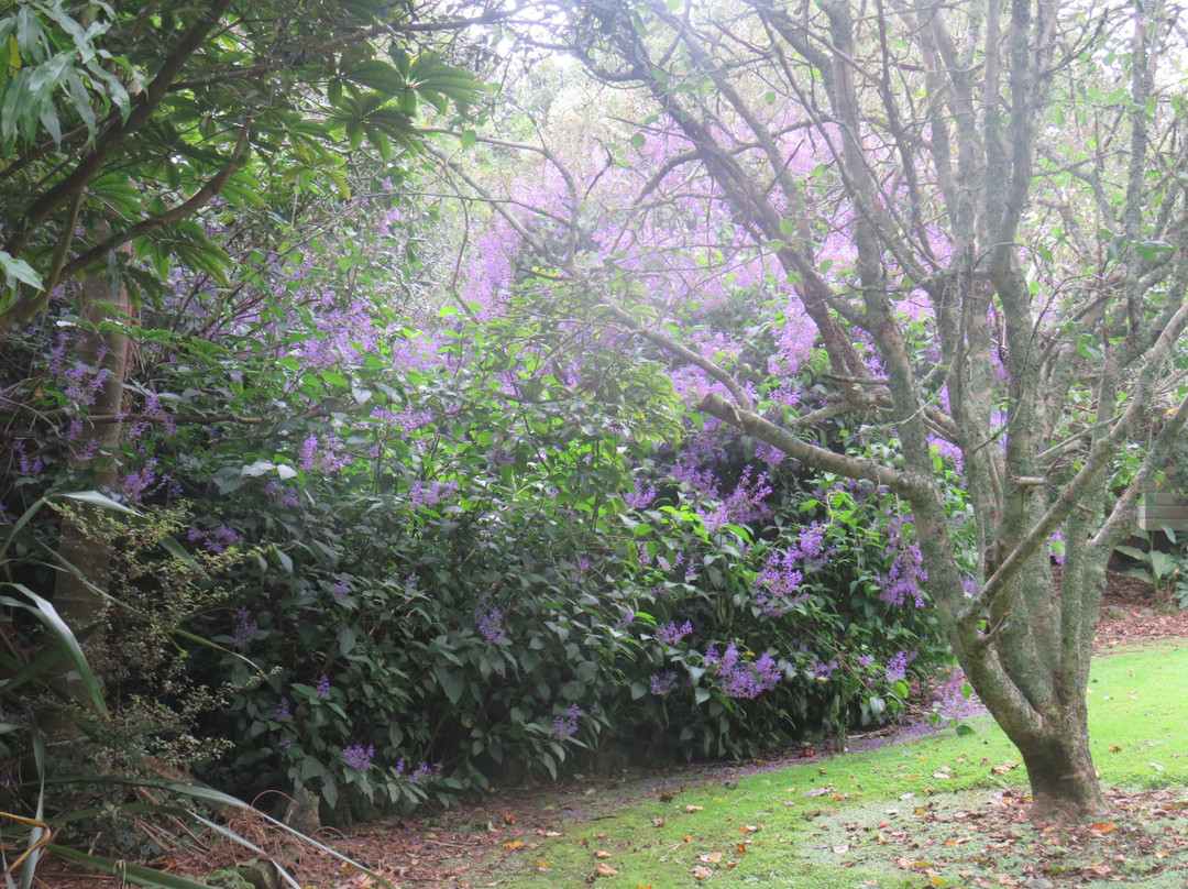 考利公园汽车旅馆主图