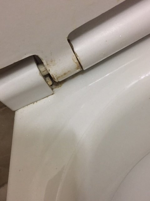 Umdloti Letting & Sales主图