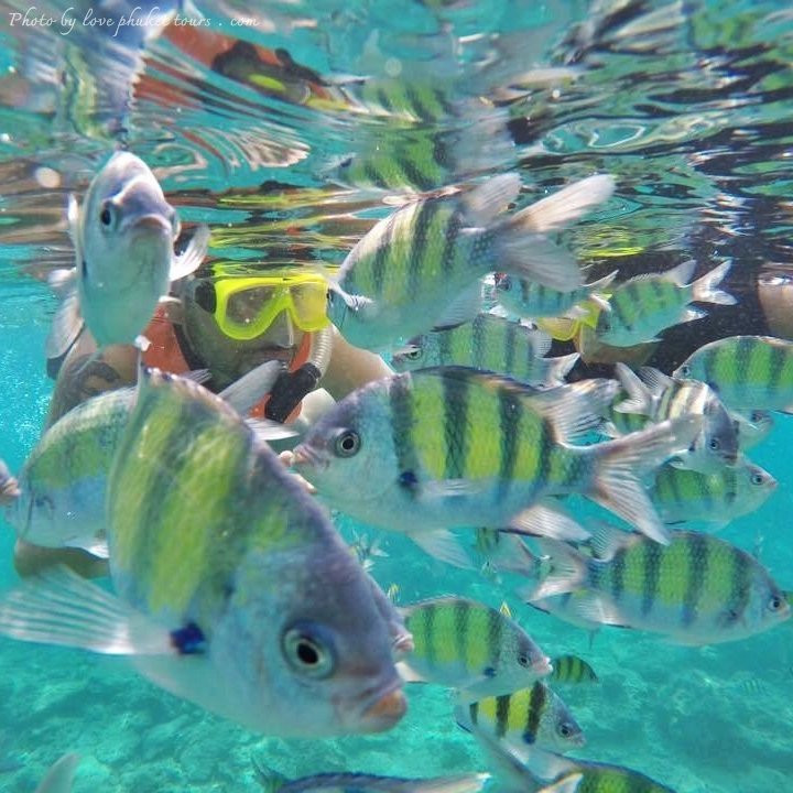 Love Phuket Tour-卡塔海滩必去景点