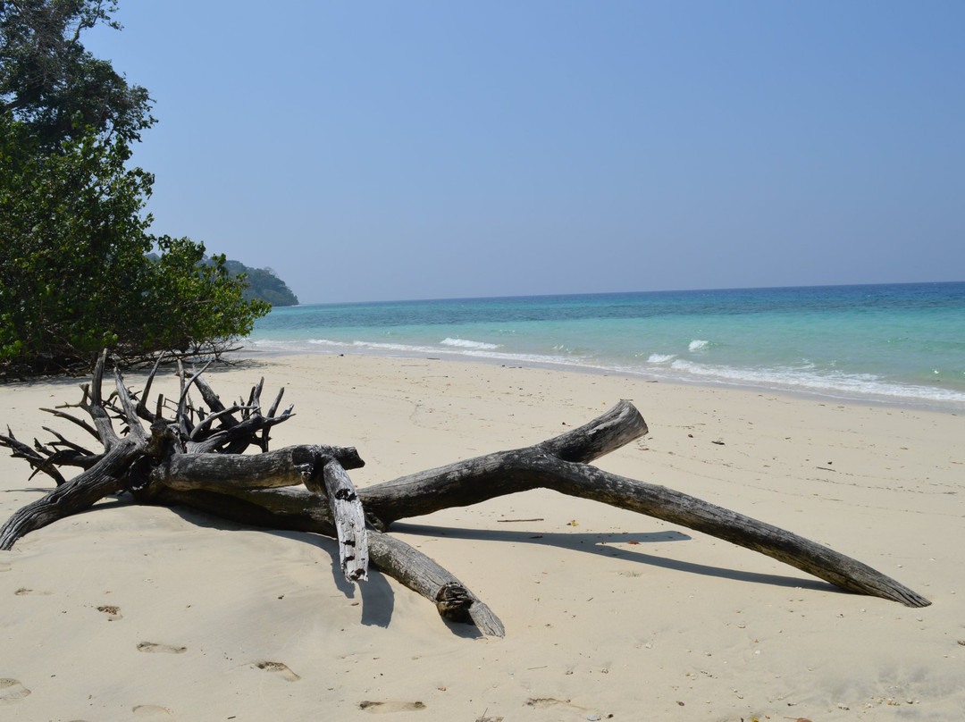 Inglis Island-哈夫洛克岛必去景点