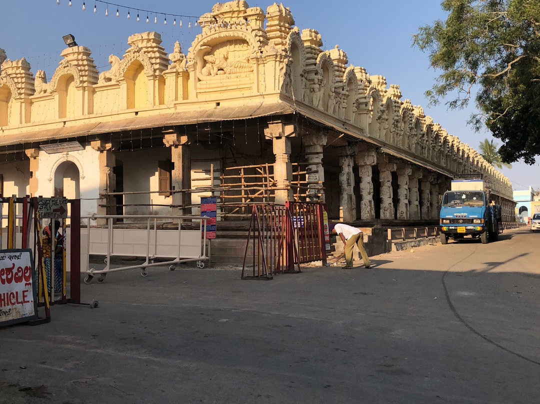 Cheluvanarayana Swamy Temple景点图片