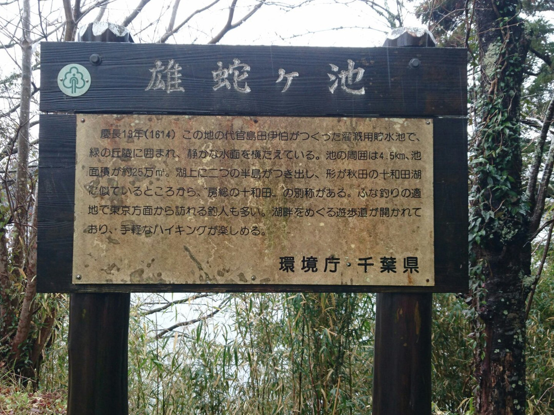 Pond Ojaga-东金市必去景点