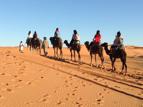 Morocco Go Go Tours-马拉喀什必去景点