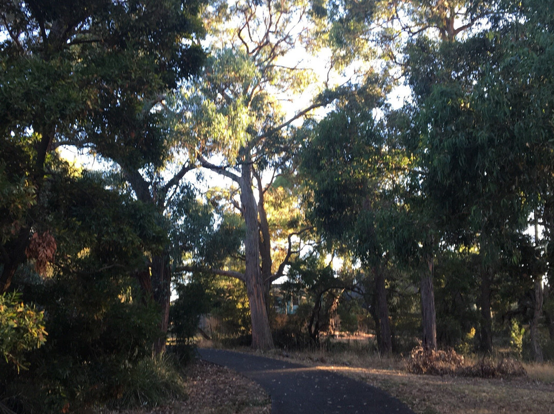Boogong Reserve景点图片