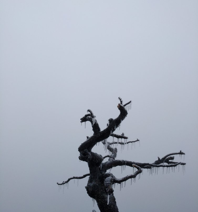 砂岩峰林地质公园-张家界市必去景点