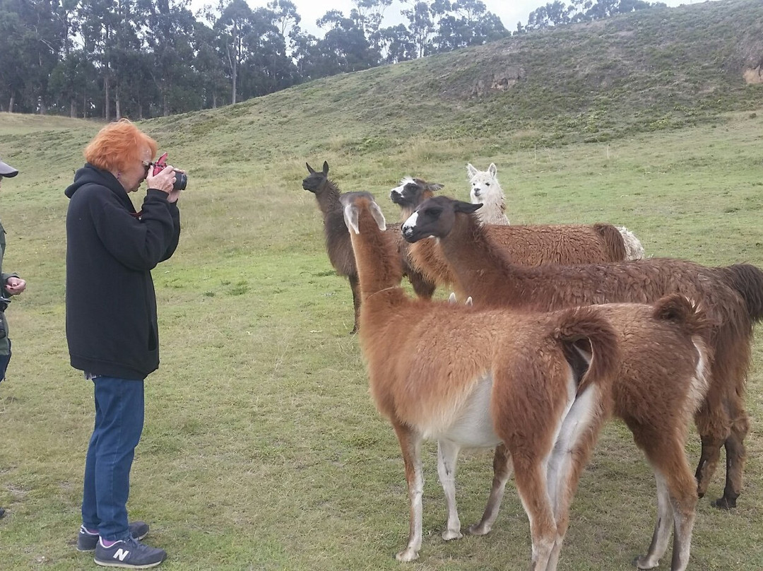 EcuaTouring-基多必去景点