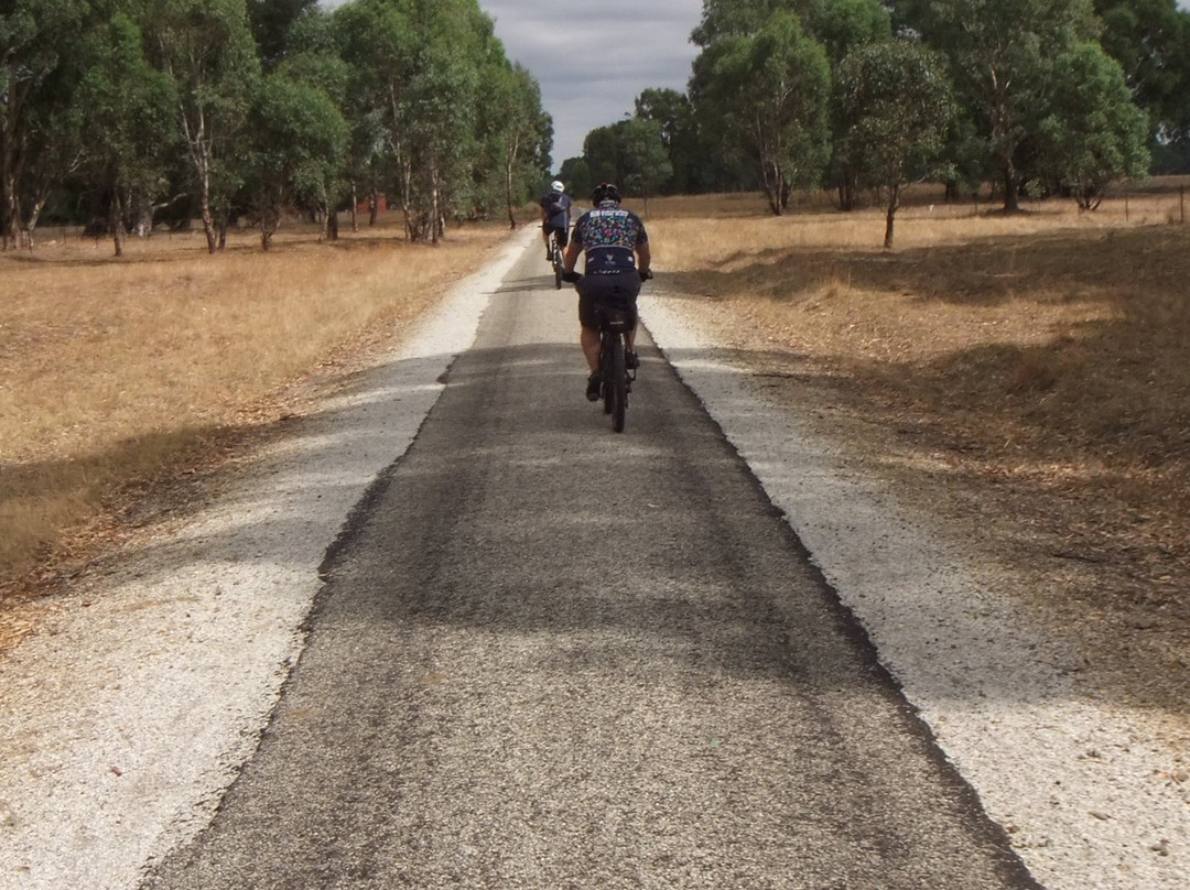 Murray to Mountains Rail Trail-Wangaratta必去景点