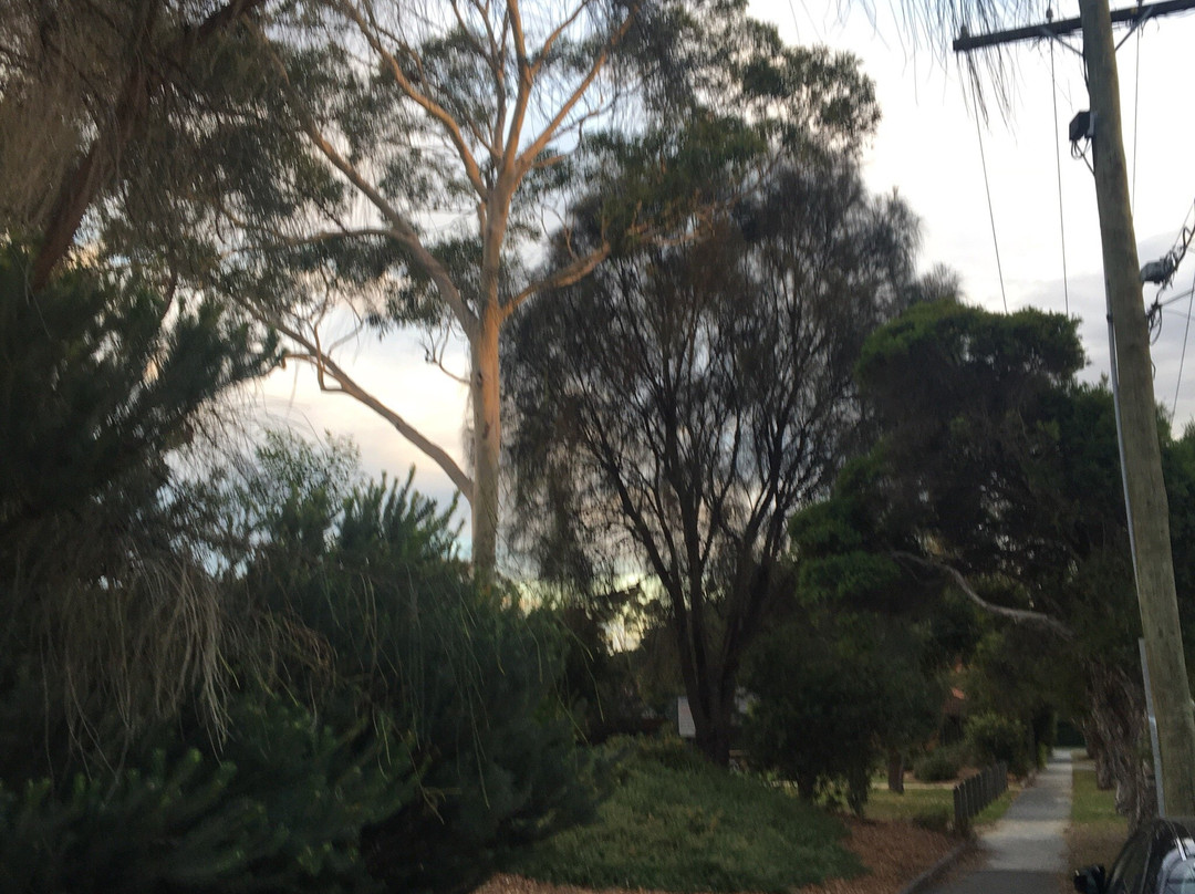 Alexander Park-Hampton必去景点