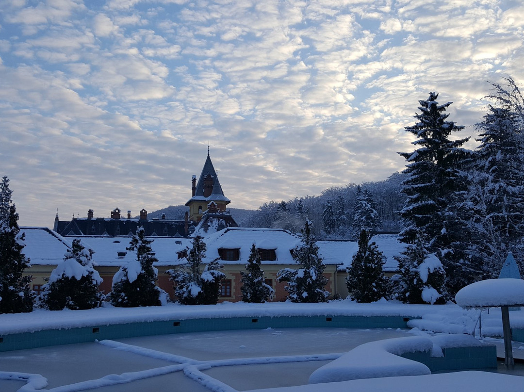 Kastélyhotel Sasvár Resort主图