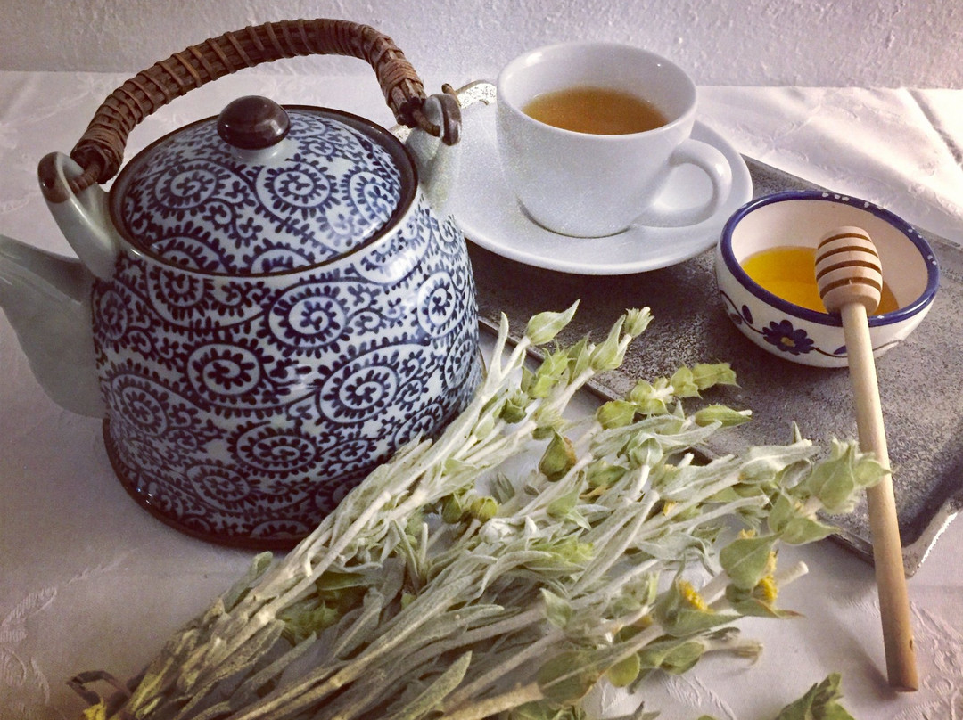 Pelion Mansion Hatziargiri主图