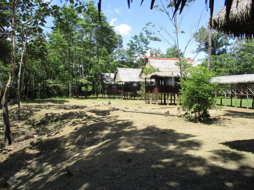 Amazon Curassow Lodge and Expeditions