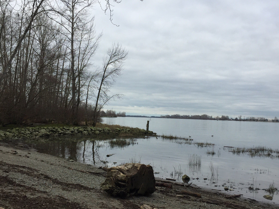 Deas Island Regional Park景点图片