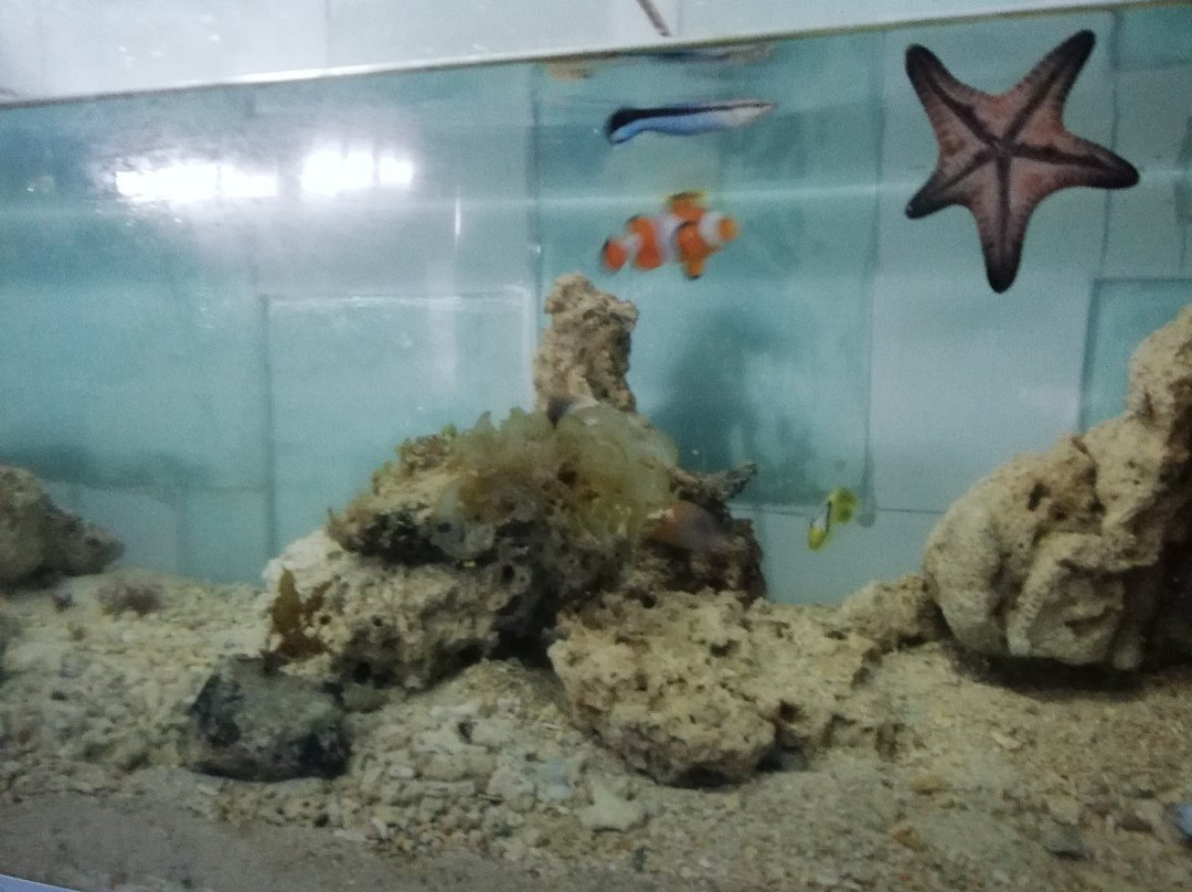 Bohol Aquarium Zoo景点图片