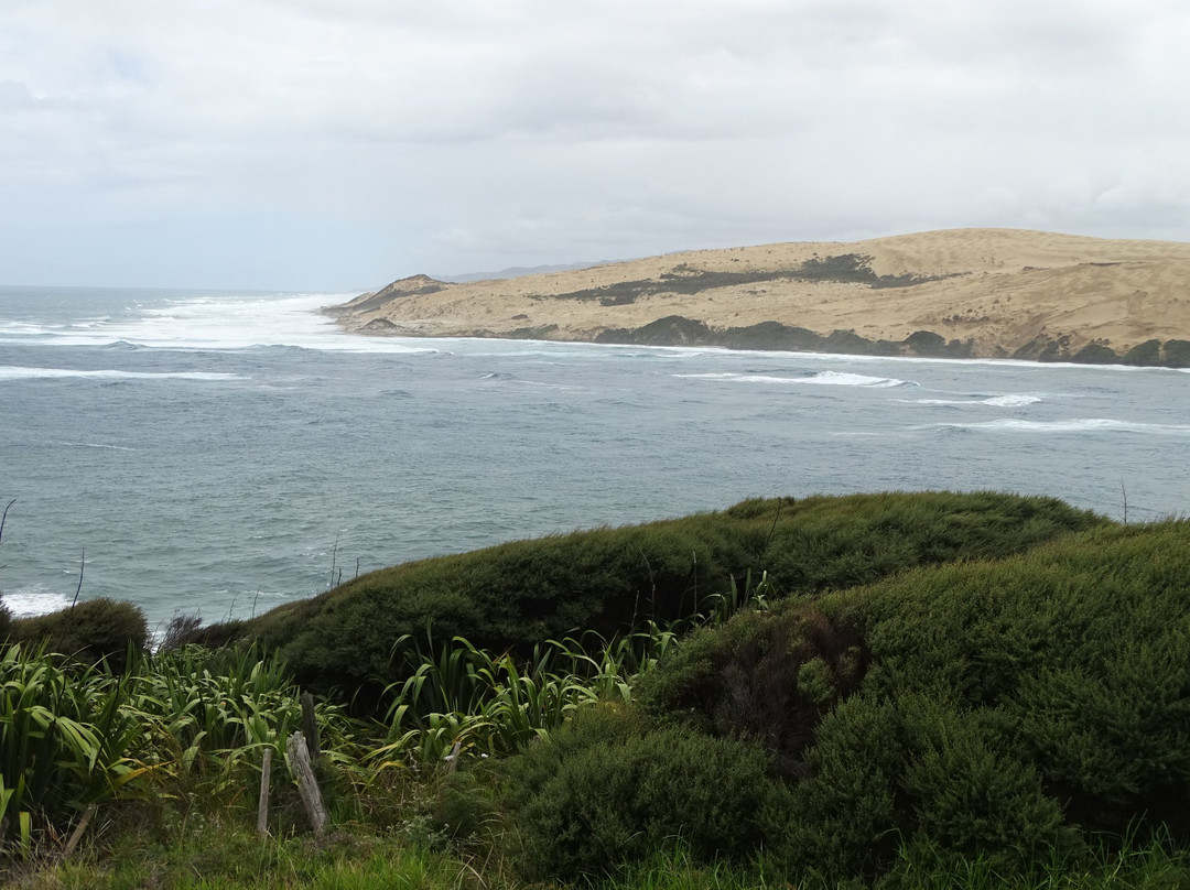 Waimamaku Coastal Track-Opononi必去景点