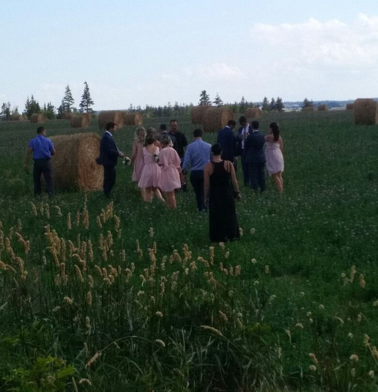 PEI Cruise Ship Shore Excursions-夏洛特镇必去景点