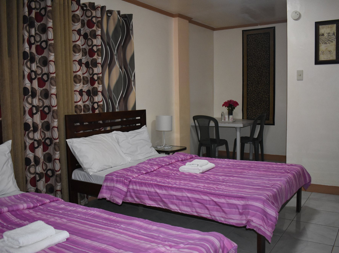 Nikita's Place Hotel主图