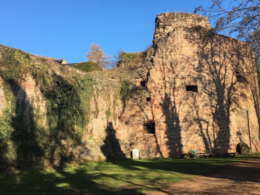 兰茨图尔旅游攻略图片