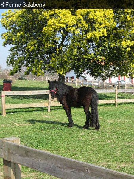 Ferme Salaberry-Saint-Pee-sur-Nivelle必去景点