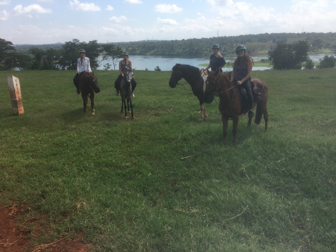 Steadfast Safaris-坎帕拉必去景点