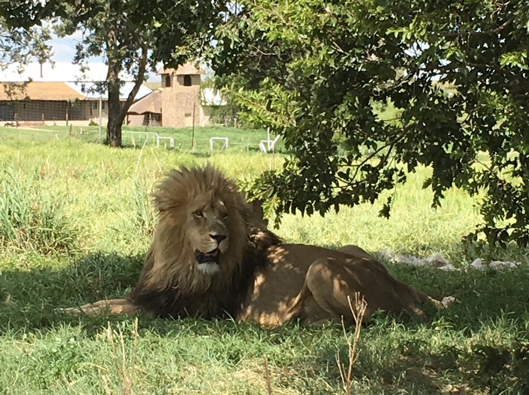 Lions Rest Country Estate主图