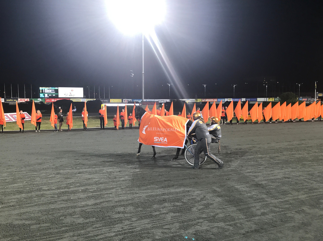 Solvalla Travbana, Harness-Racing Track-斯德哥尔摩必去景点