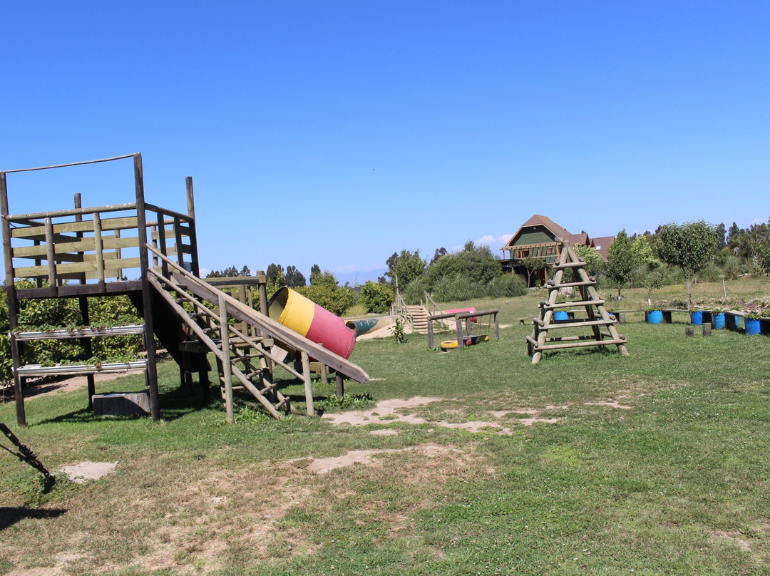 Campo Educativo-Concon必去景点