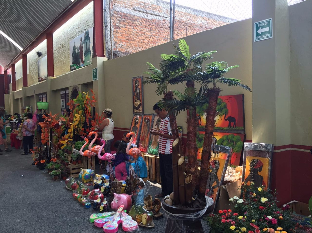 Mercado de Artesanias de las Altas Montanas景点图片