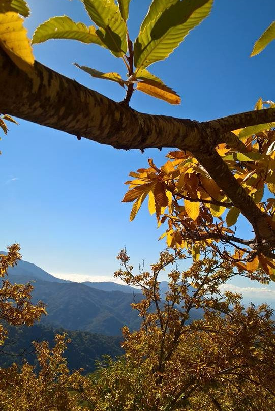 Guiandalus Turismo Rural & De Naturaleza景点图片