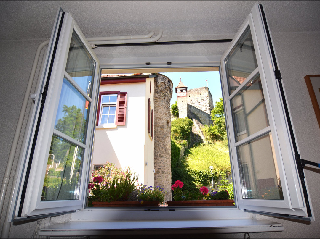 Hotel Herberge Zur Traube主图