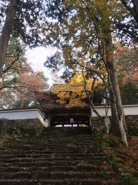 Kougenji Temple-丹波市必去景点