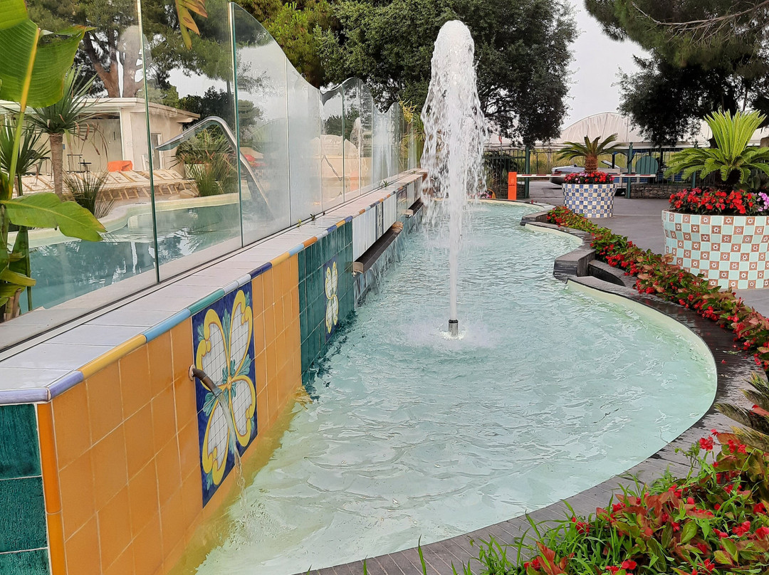 Nicolaus Club Oasis