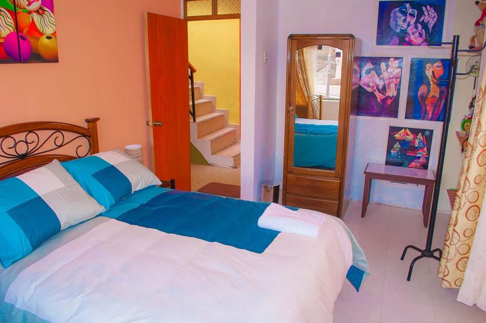 Panqarita House主图