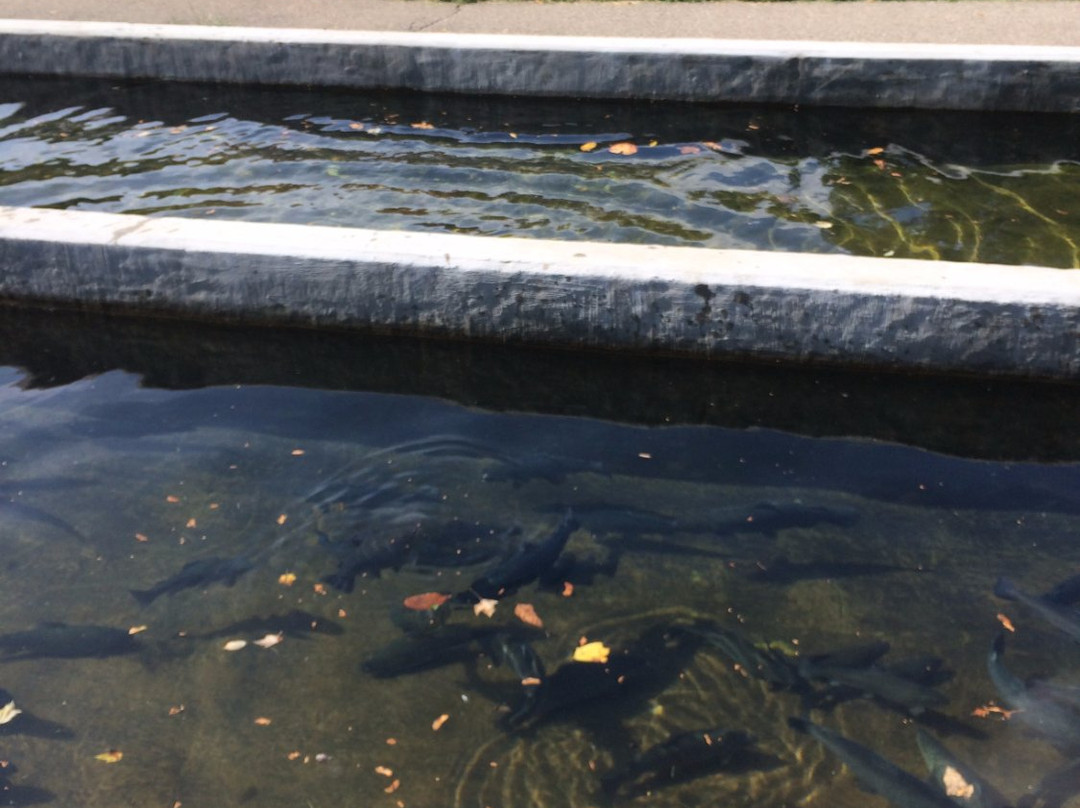 Powder Mills Park-Pittsford必去景点