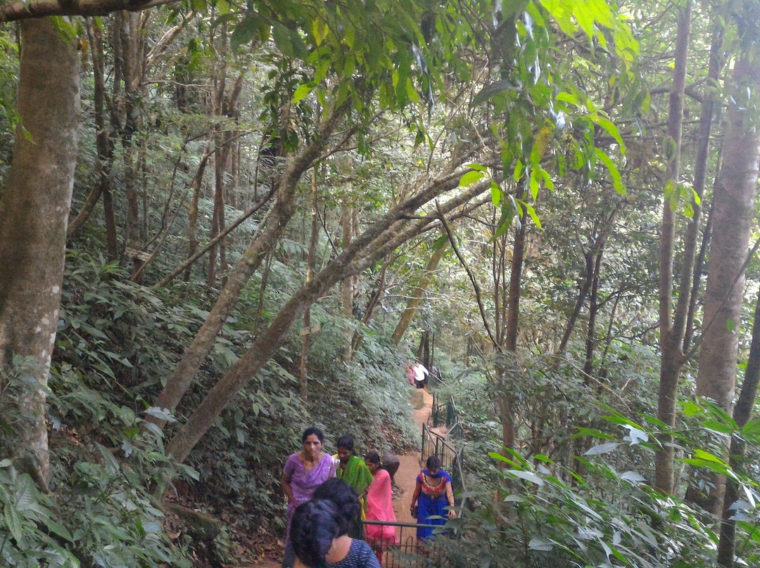 Hanuman Gundi Falls景点图片