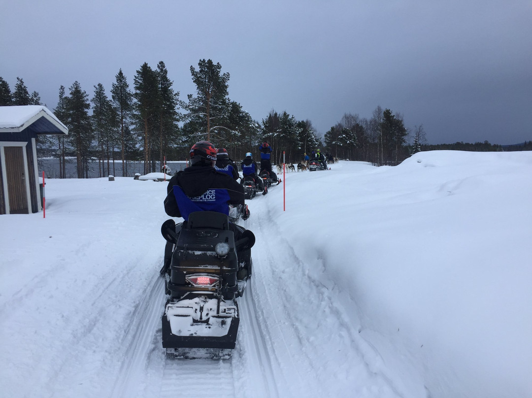 Experience Arjeplog-Arjeplog必去景点
