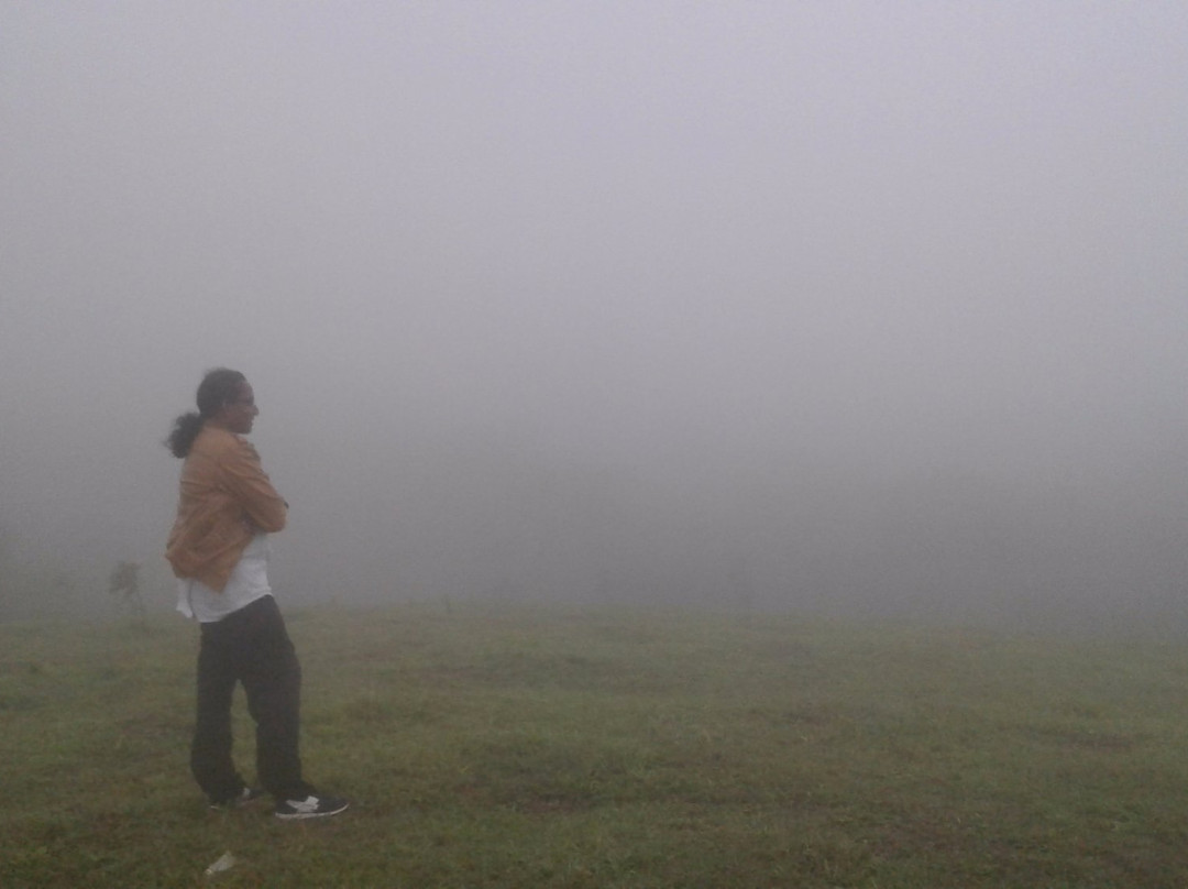 Green Palace Resort主图