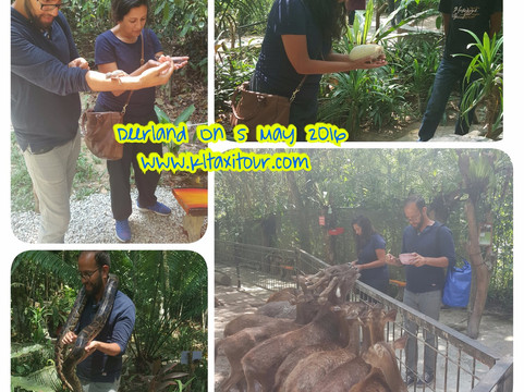 Saiful KL Taxi Tour-吉隆坡必去景点