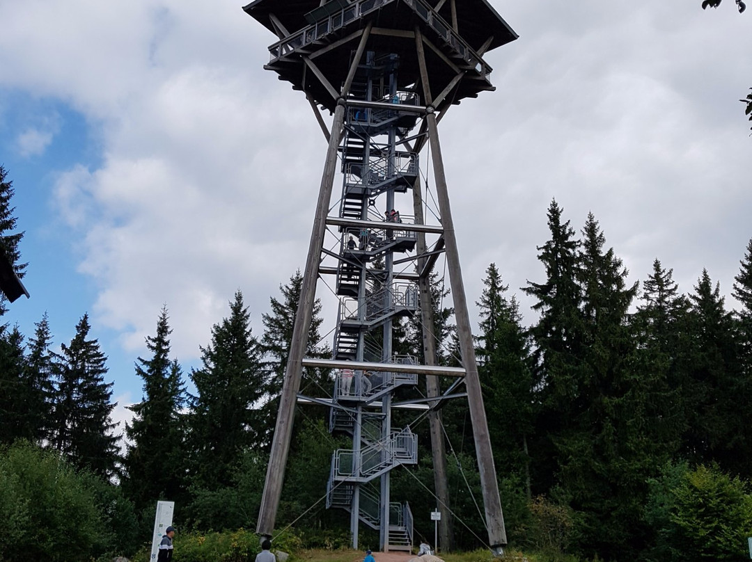 Riesenbühlturm in Schluchsee景点图片