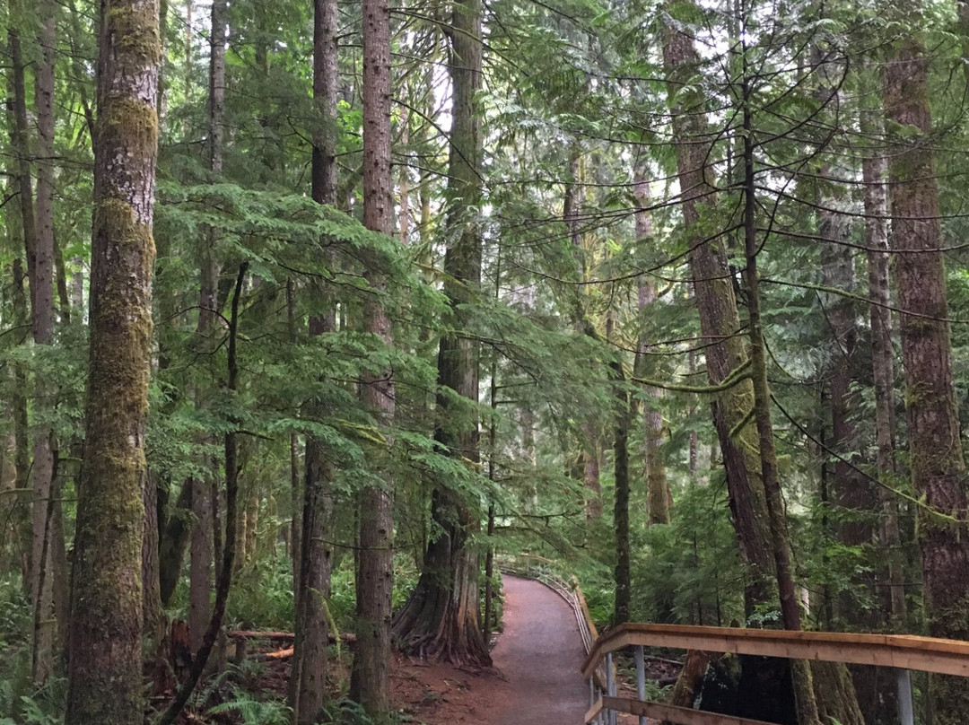 Campbell River Visitor Centre景点图片