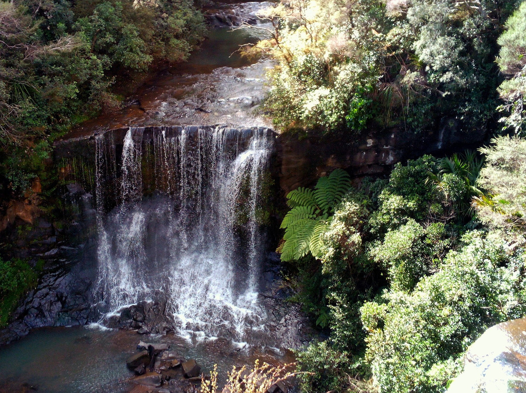 Mokoroa Falls景点图片