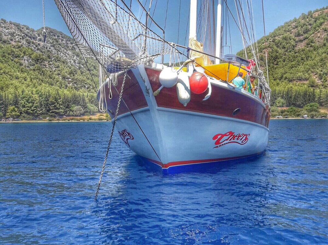 Cheers Yachting景点图片