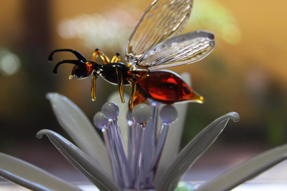 Barroco Atelier-卡内拉必去景点